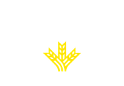 Club de Atletismo Lucus